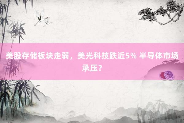 美股存储板块走弱，美光科技跌近5% 半导体市场承压？