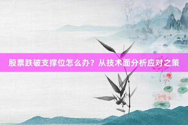 股票跌破支撑位怎么办？从技术面分析应对之策