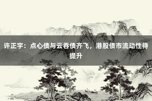 许正宇：点心债与云吞债齐飞，港股债市流动性待提升