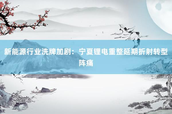 新能源行业洗牌加剧:宁夏锂电重整延期折射转型阵痛