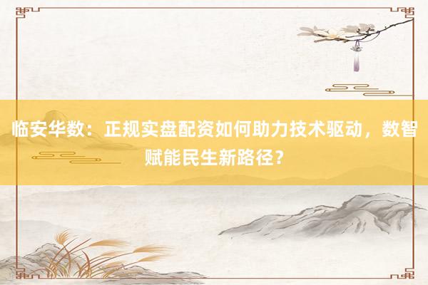 临安华数：正规实盘配资如何助力技术驱动，数智赋能民生新路径？