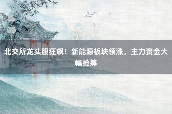 北交所龙头股狂飙！新能源板块领涨，主力资金大幅抢筹