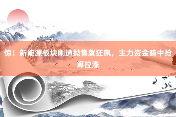 惊！新能源板块刚遭抛售就狂飙，主力资金暗中抢筹拉涨