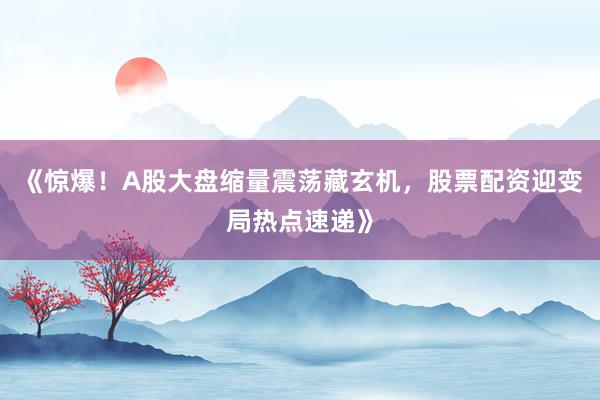 《惊爆！A股大盘缩量震荡藏玄机，股票配资迎变局热点速递》