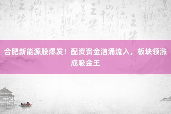 合肥新能源股爆发！配资资金汹涌流入，板块领涨成吸金王