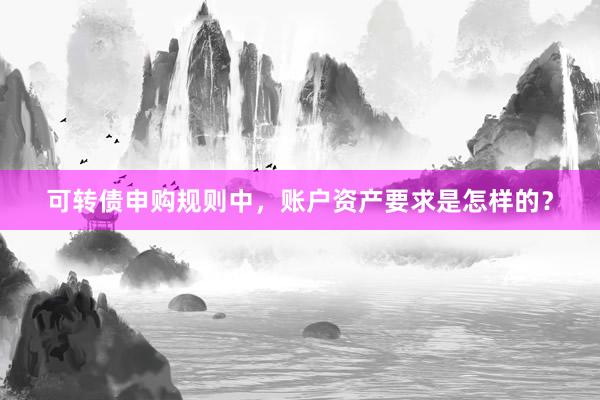 可转债申购规则中，账户资产要求是怎样的？