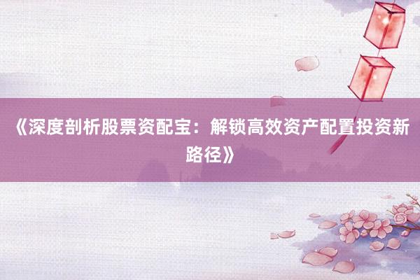 《深度剖析股票资配宝：解锁高效资产配置投资新路径》