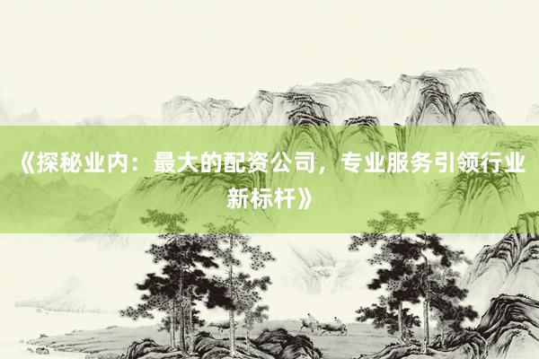《探秘业内：最大的配资公司，专业服务引领行业新标杆》